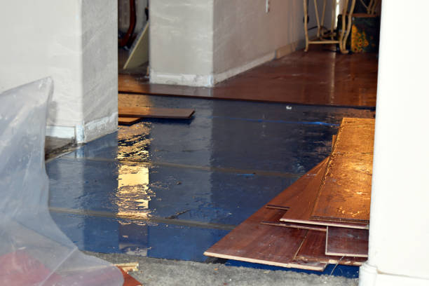 Professional Water Damage Restoration technician working in Cleburne, TX
